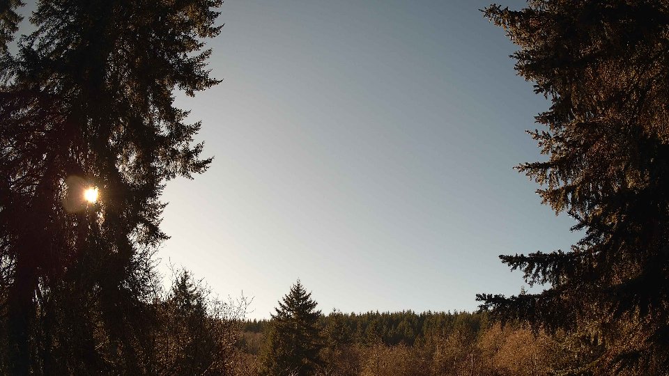 Pacific Northwest skyline timelapse frame from Jan 19th, 2026 at 1:15 PM