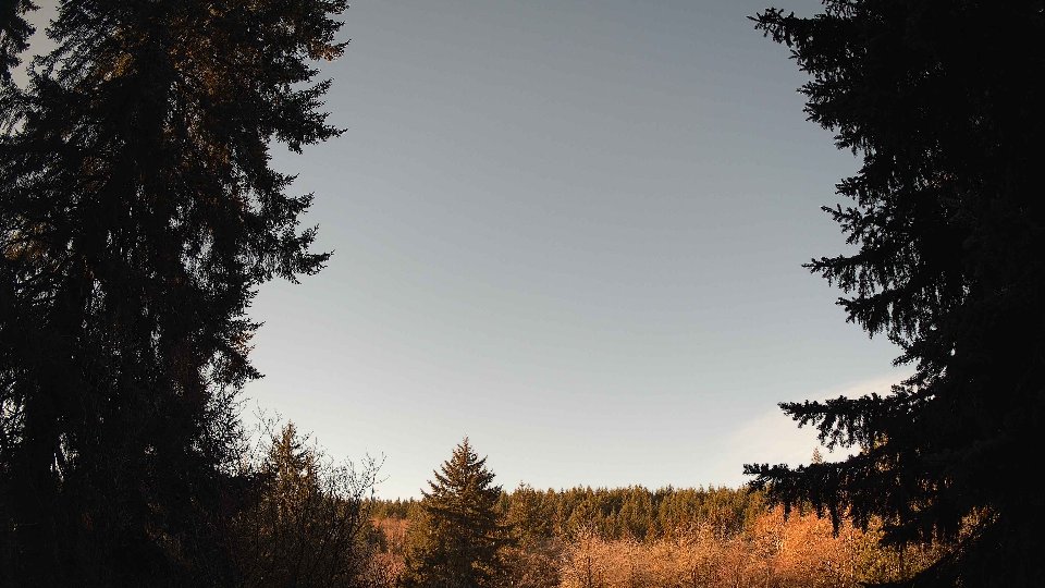 Pacific Northwest skyline timelapse on Jan 20, 2026 at 9:45 AM