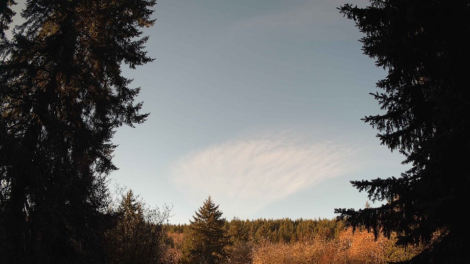 Pacific Northwest skyline timelapse on Jan 20, 2026 at 10:00 AM