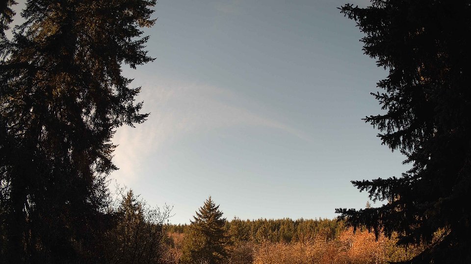 Pacific Northwest skyline timelapse on Jan 20, 2026 at 10:15 AM