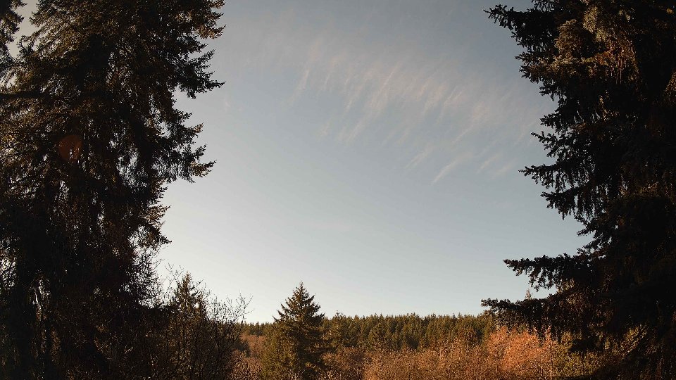 Pacific Northwest skyline timelapse on Jan 20, 2026 at 11:15 AM