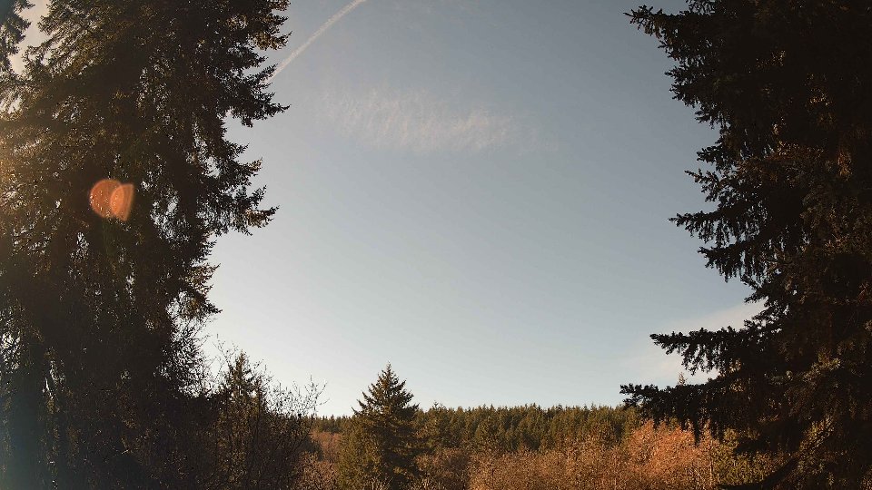 Pacific Northwest skyline timelapse on Jan 20, 2026 at 11:30 AM