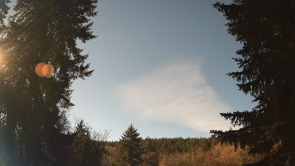 Pacific Northwest skyline timelapse on Jan 20, 2026 at 11:45 AM