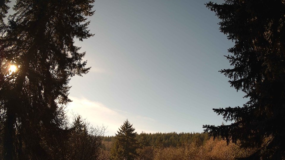 Pacific Northwest skyline timelapse on Jan 20, 2026 at 12:30 PM