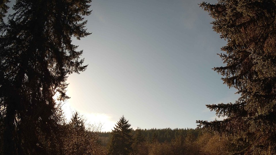 Pacific Northwest skyline timelapse on Jan 20, 2026 at 1:45 PM