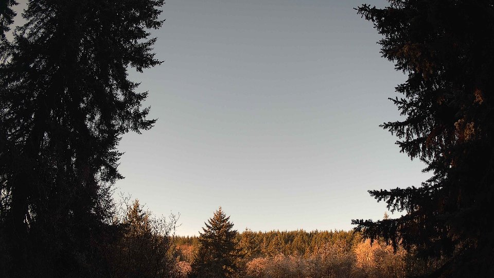 Pacific Northwest skyline timelapse on Jan 21, 2026 at 9:00 AM