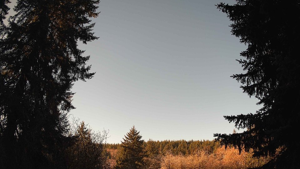 Pacific Northwest skyline timelapse on Jan 21, 2026 at 9:45 AM
