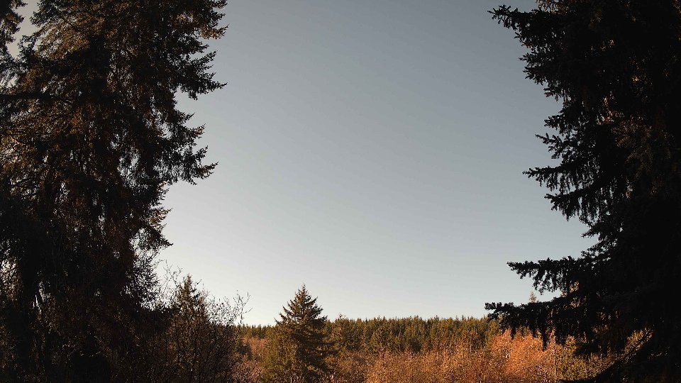 Pacific Northwest skyline timelapse on Jan 21, 2026 at 10:45 AM