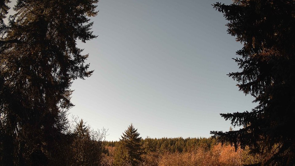 Pacific Northwest skyline timelapse on Jan 21, 2026 at 11:00 AM