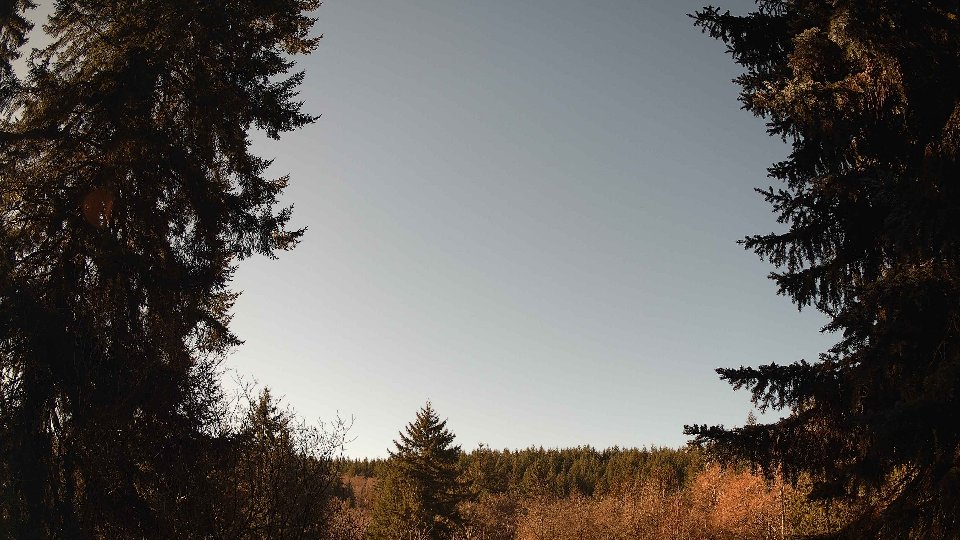 Pacific Northwest skyline timelapse on Jan 21, 2026 at 11:15 AM