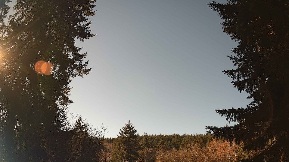 Pacific Northwest skyline timelapse on Jan 21, 2026 at 11:45 AM