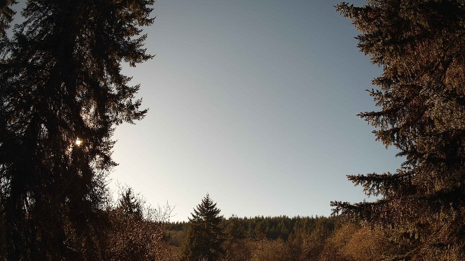 Pacific Northwest skyline timelapse on Jan 21, 2026 at 1:30 PM