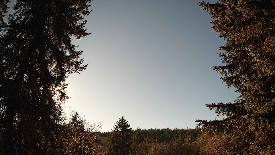 Pacific Northwest skyline timelapse on Jan 21, 2026 at 1:45 PM