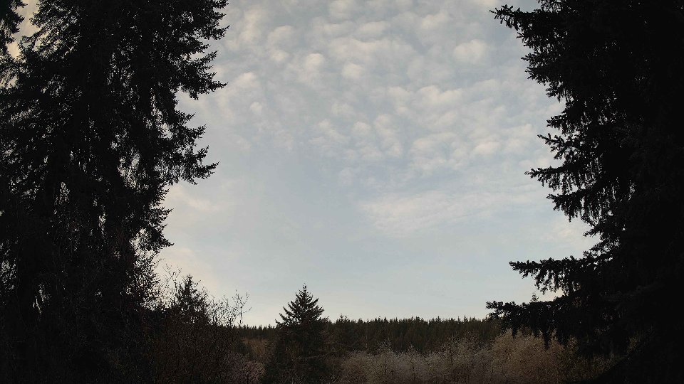 Pacific Northwest skyline timelapse on Jan 22, 2026 at 8:30 AM