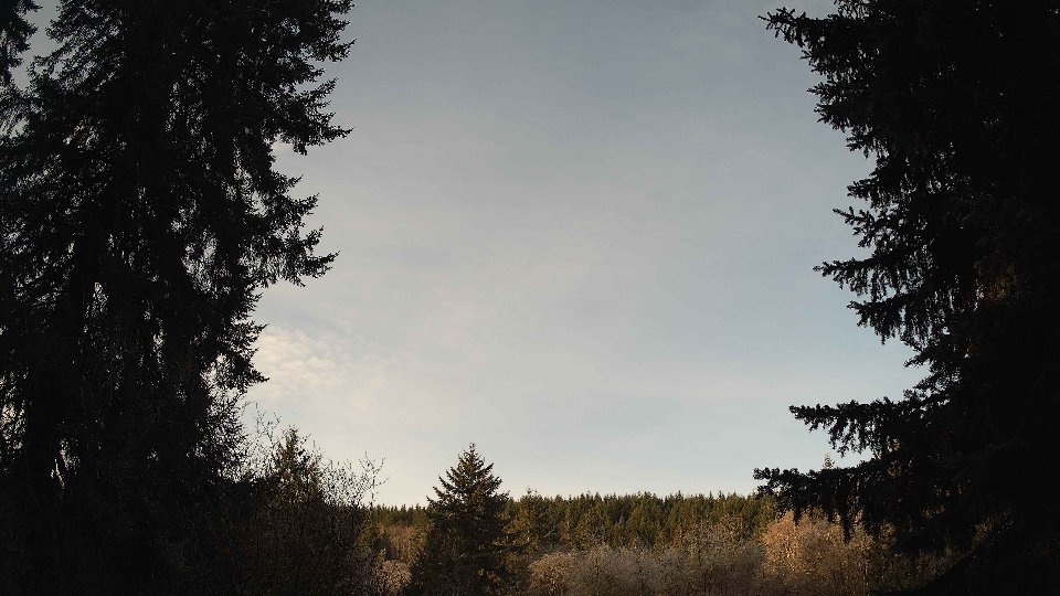 Pacific Northwest skyline timelapse on Jan 22, 2026 at 9:00 AM