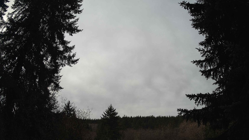 Pacific Northwest skyline timelapse on Jan 22, 2026 at 11:30 AM