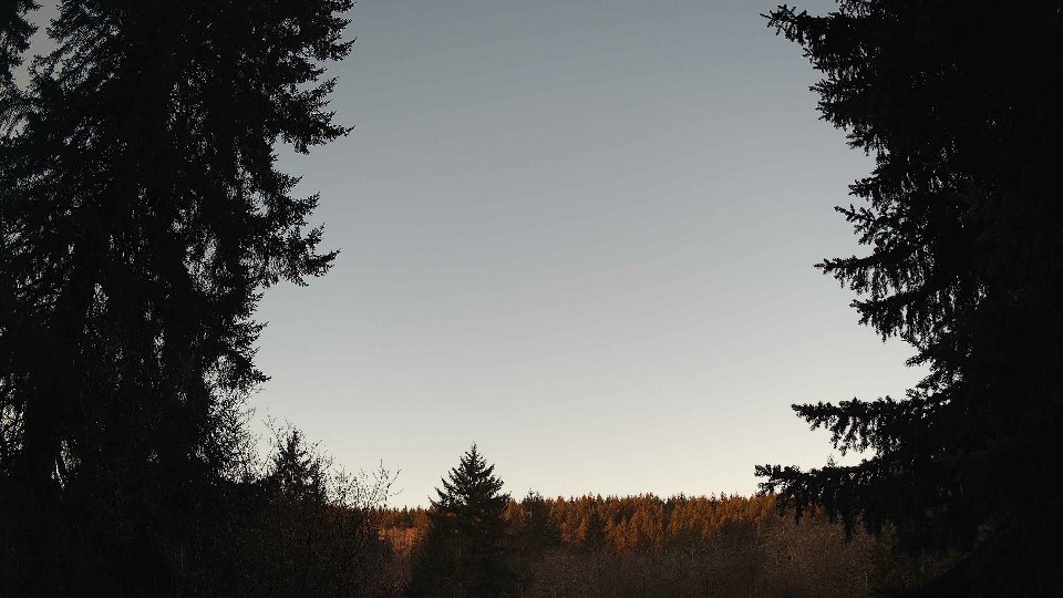 Pacific Northwest skyline timelapse on Jan 23, 2026 at 8:00 AM