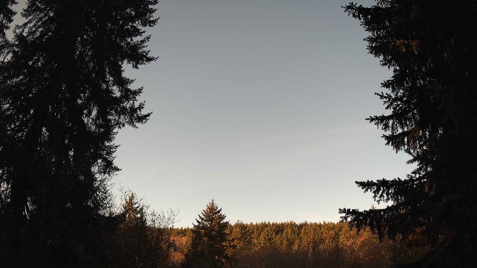 Pacific Northwest skyline timelapse on Jan 23, 2026 at 8:45 AM