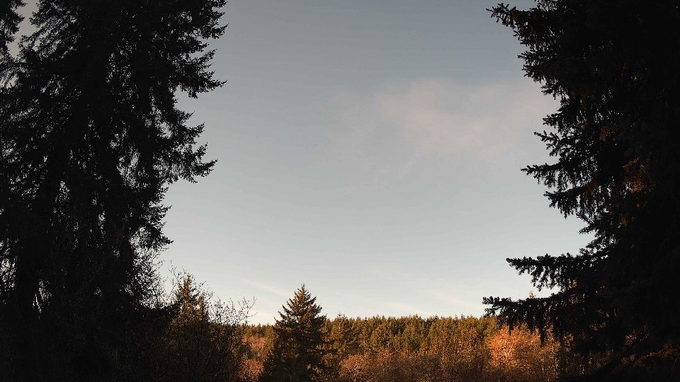 Pacific Northwest skyline timelapse on Jan 23, 2026 at 9:00 AM