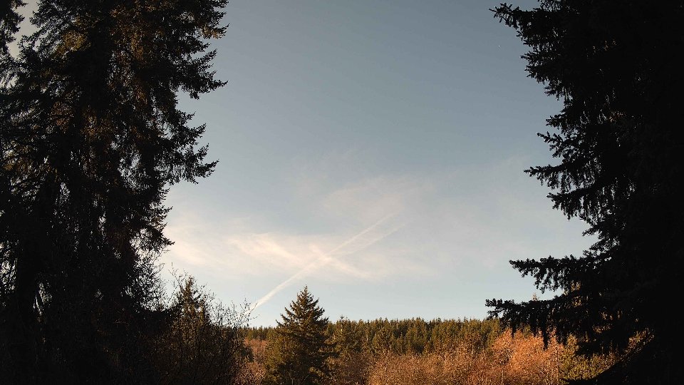 Pacific Northwest skyline timelapse on Jan 23, 2026 at 10:00 AM