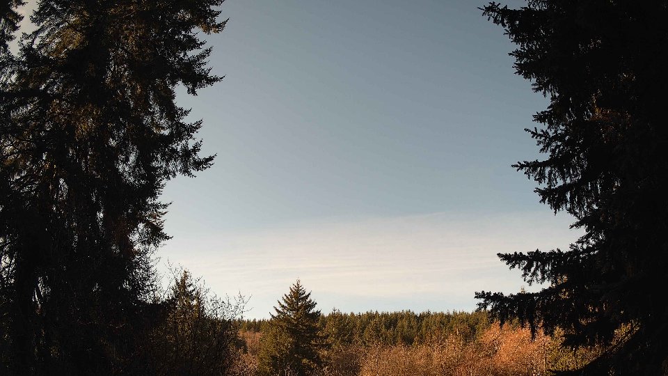 Pacific Northwest skyline timelapse on Jan 23, 2026 at 10:15 AM