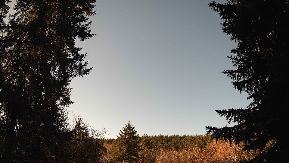 Pacific Northwest skyline timelapse on Jan 23, 2026 at 10:30 AM