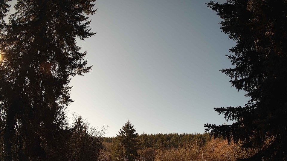 Pacific Northwest skyline timelapse on Jan 23, 2026 at 12:00 PM