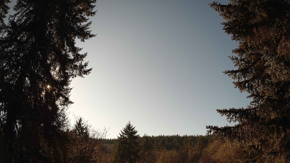 Pacific Northwest skyline timelapse on Jan 23, 2026 at 1:30 PM