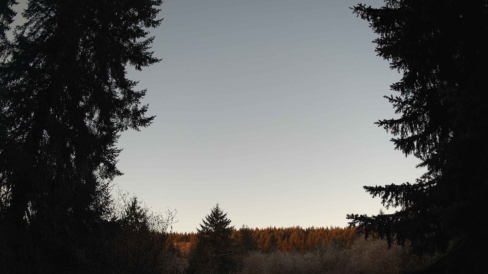 Pacific Northwest skyline timelapse on Jan 24, 2026 at 8:00 AM