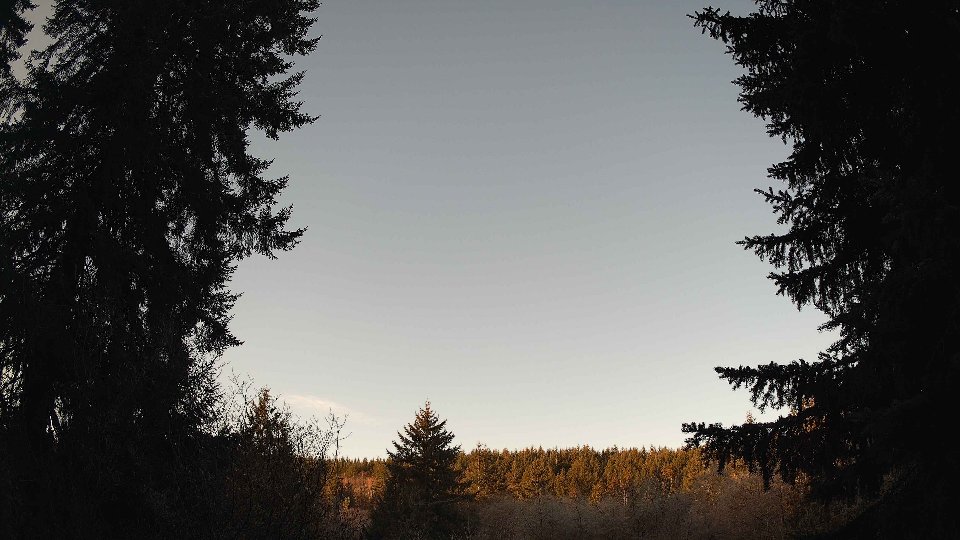 Pacific Northwest skyline timelapse on Jan 24, 2026 at 8:30 AM