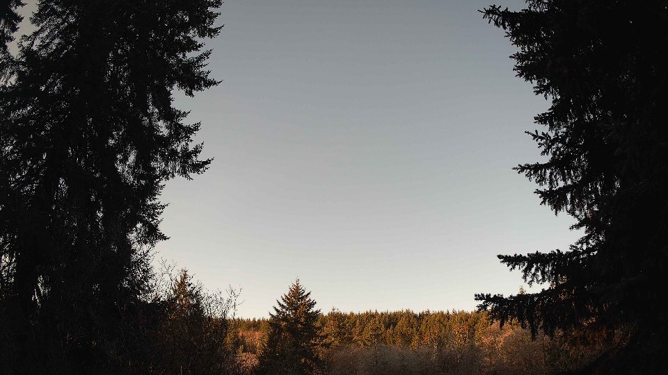 Pacific Northwest skyline timelapse on Jan 24, 2026 at 8:45 AM