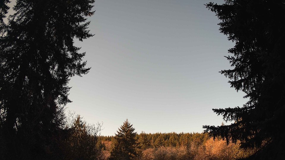 Pacific Northwest skyline timelapse on Jan 24, 2026 at 9:15 AM