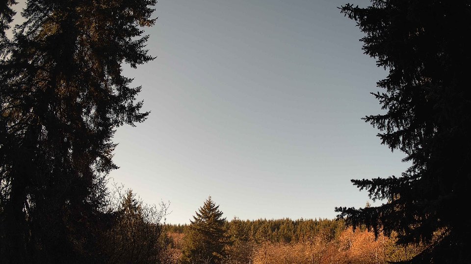 Pacific Northwest skyline timelapse on Jan 24, 2026 at 10:00 AM