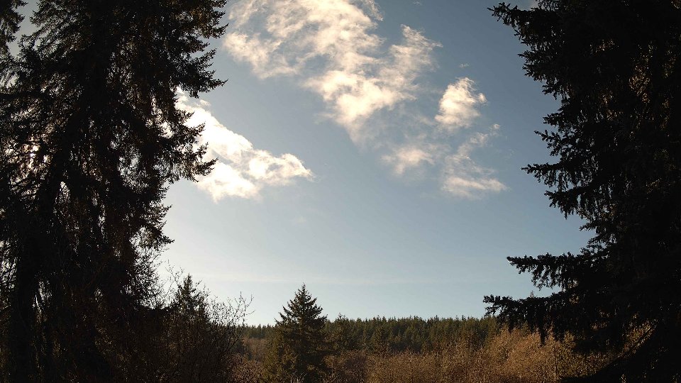 Pacific Northwest skyline timelapse on Jan 24, 2026 at 12:30 PM
