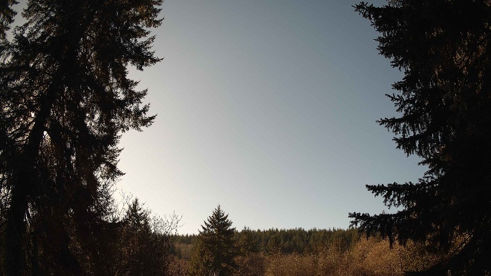 Pacific Northwest skyline timelapse on Jan 24, 2026 at 12:45 PM