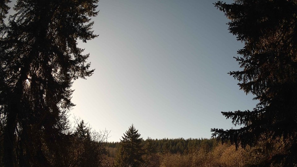 Pacific Northwest skyline timelapse on Jan 24, 2026 at 1:00 PM