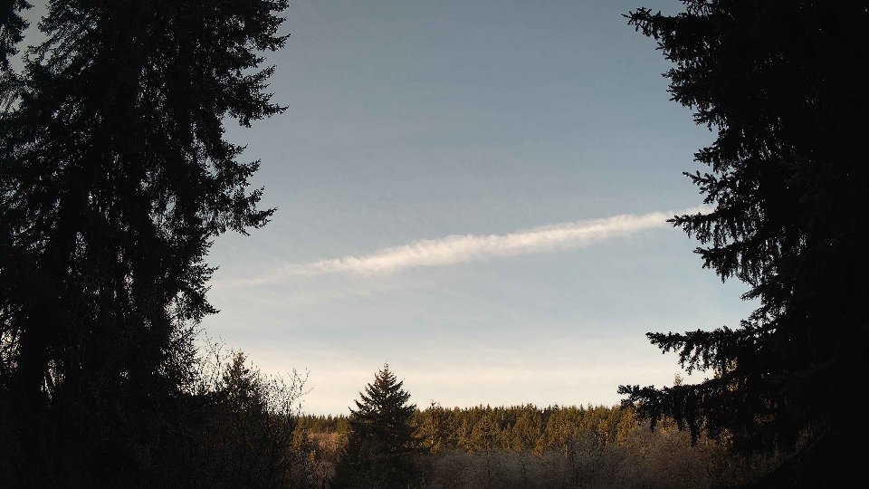 Pacific Northwest skyline timelapse on Jan 25, 2026 at 8:30 AM