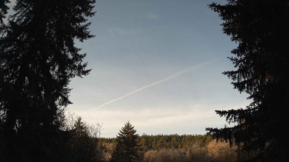 Pacific Northwest skyline timelapse on Jan 25, 2026 at 9:00 AM