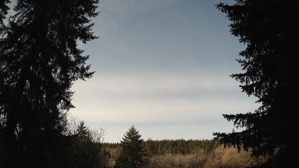 Pacific Northwest skyline timelapse on Jan 25, 2026 at 9:30 AM