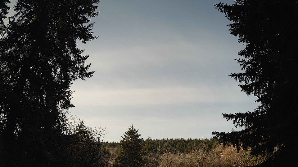 Pacific Northwest skyline timelapse on Jan 25, 2026 at 9:45 AM