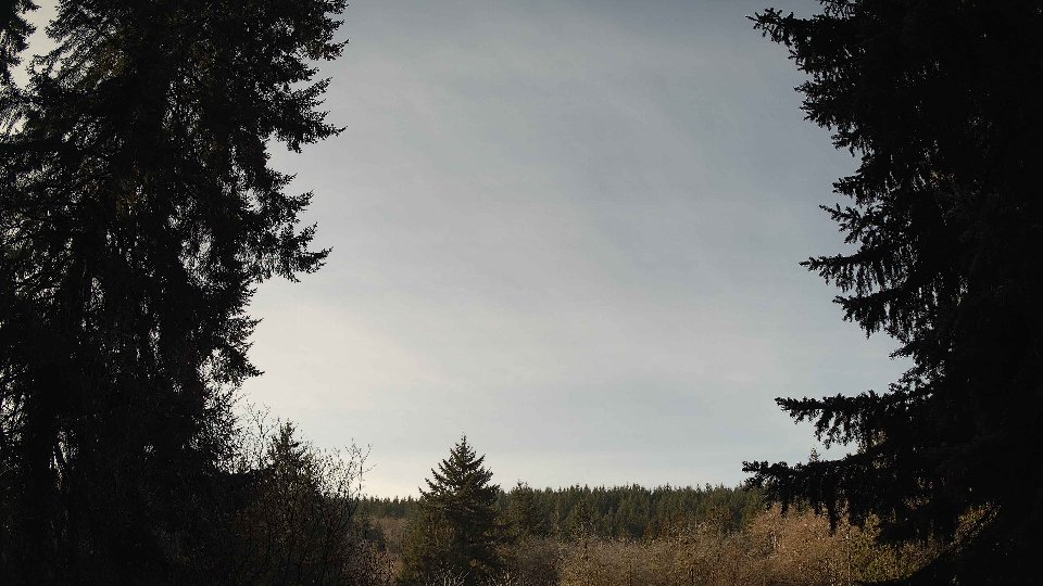 Pacific Northwest skyline timelapse on Jan 25, 2026 at 10:15 AM