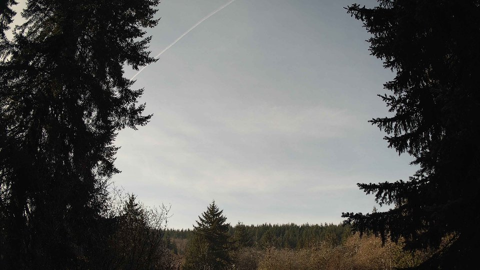 Pacific Northwest skyline timelapse on Jan 25, 2026 at 10:30 AM