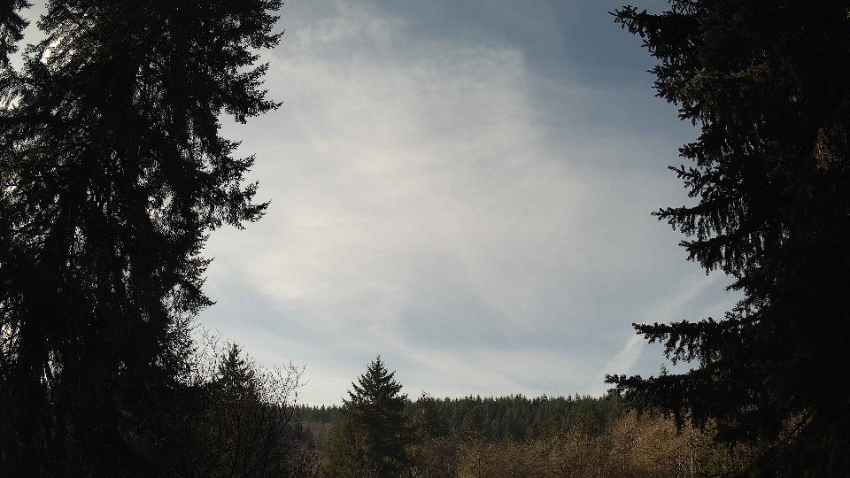 Pacific Northwest skyline timelapse on Jan 25, 2026 at 11:15 AM