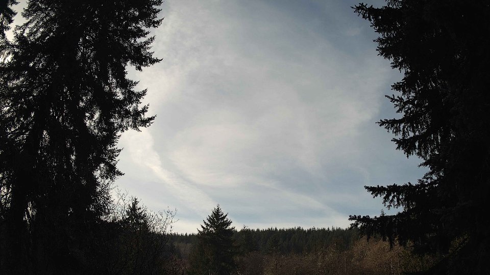 Pacific Northwest skyline timelapse on Jan 25, 2026 at 11:30 AM