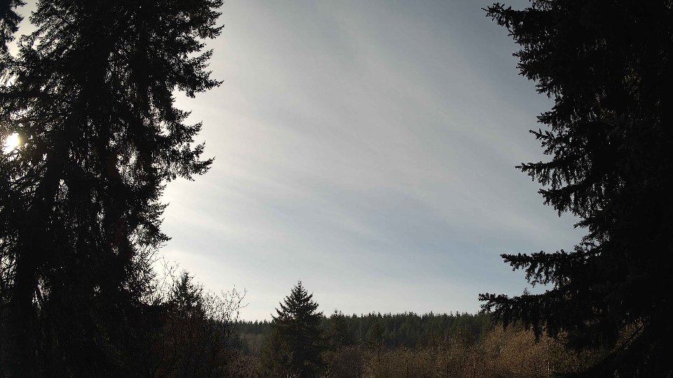 Pacific Northwest skyline timelapse on Jan 25, 2026 at 12:15 PM