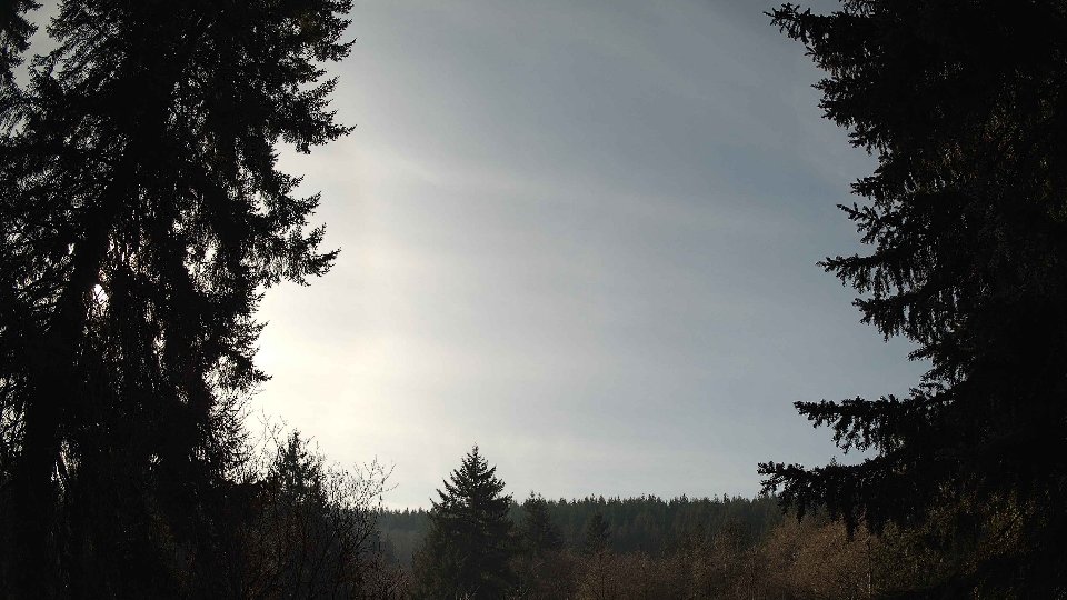 Pacific Northwest skyline timelapse on Jan 25, 2026 at 1:00 PM