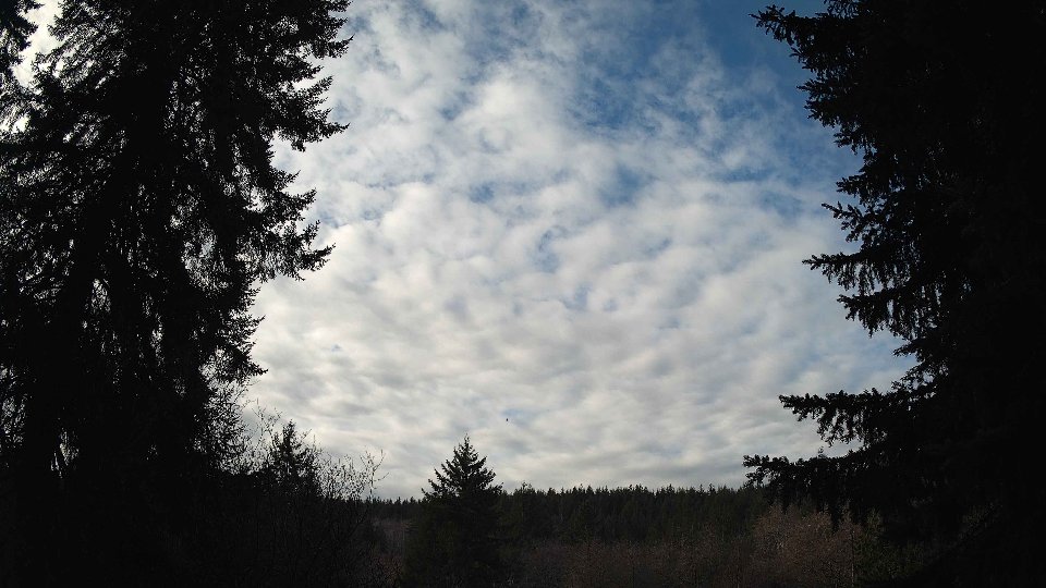 Pacific Northwest skyline timelapse on Jan 26, 2026 at 10:15 AM