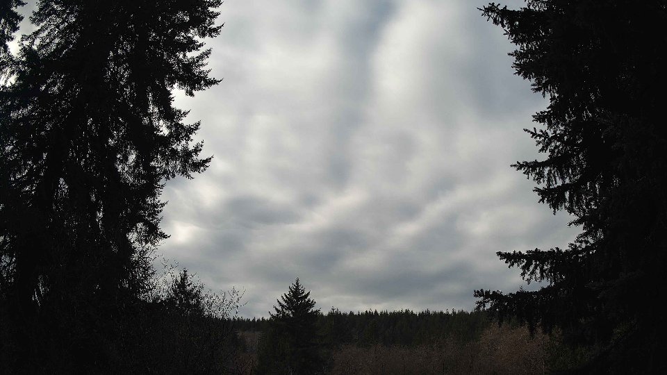 Pacific Northwest skyline timelapse on Jan 26, 2026 at 10:30 AM