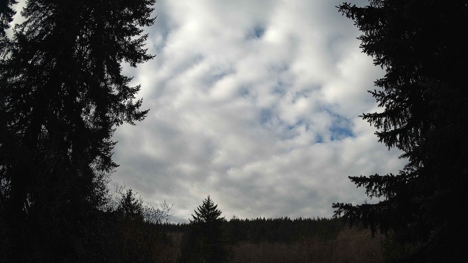 Pacific Northwest skyline timelapse on Jan 26, 2026 at 10:45 AM
