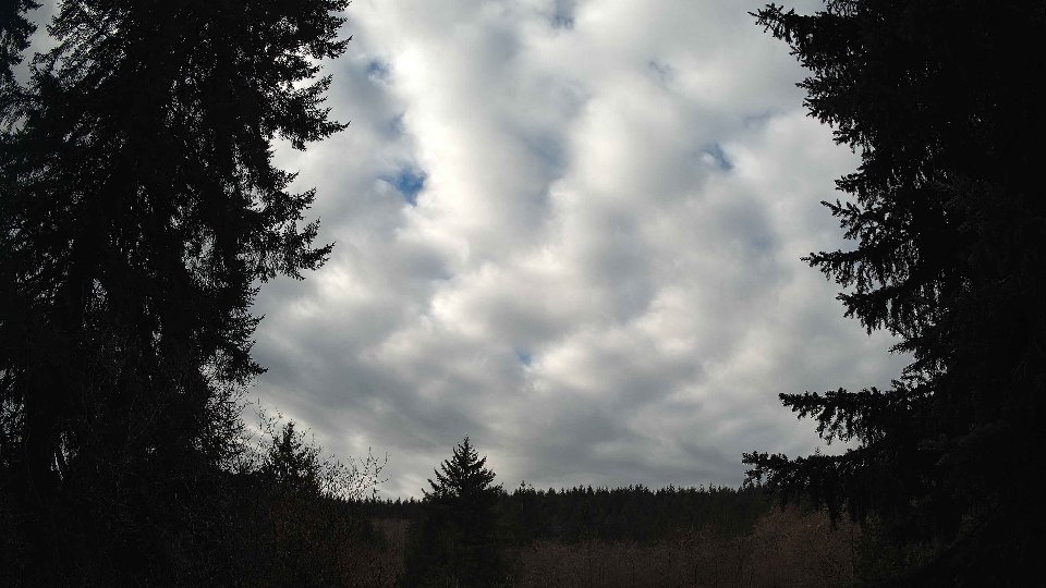 Pacific Northwest skyline timelapse on Jan 26, 2026 at 11:00 AM